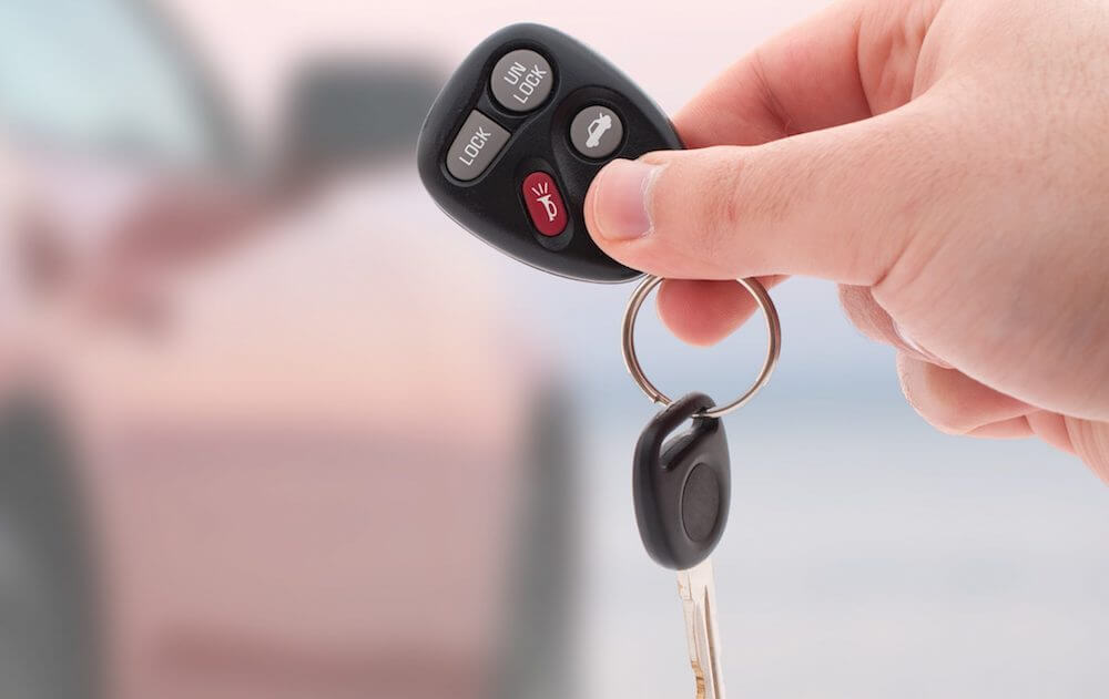 can your pet trigger a car lockout
